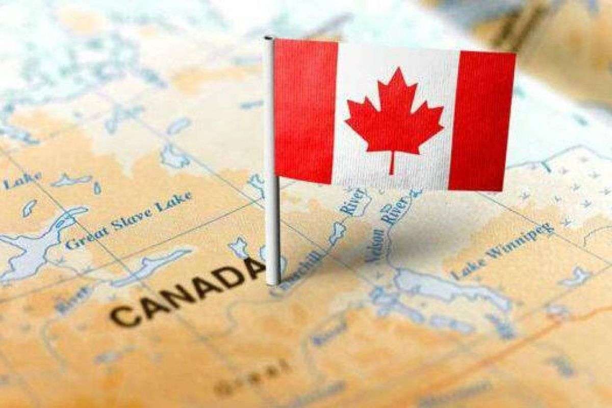 Driving Business Success with a Technology Users List Provider in Canada